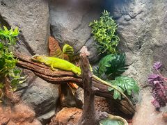 -成都浩海立方海洋公园