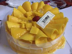 -菲尔雪CAKE(九方店)