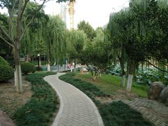 -后襄河公园