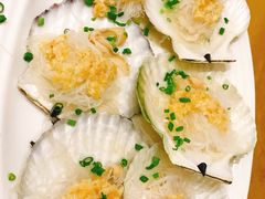 扇贝-新海利海鲜城·41年珠海老字号(夏湾店)