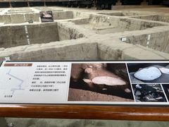 -金沙遗址博物馆