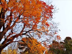 -北京动物园-畅观楼