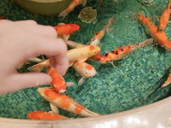 -北京新世纪饭店(动物园地铁站店)