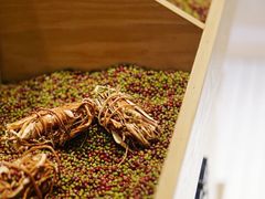 -炖物24章·顺时轻养茶(杭州保利时光里店)