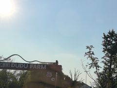 -苏州太湖西山岛开心农场