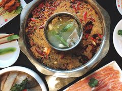 -一斗火锅·招财羊毛肚(北温泉九号店)