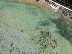 -白云源风景区