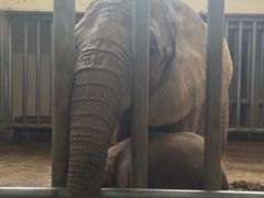 -石家庄市动物园