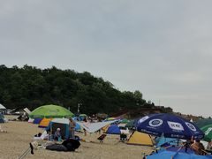 -傅家庄公园