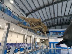 -上海海洋大学鱼文化博物馆(军工路校区)