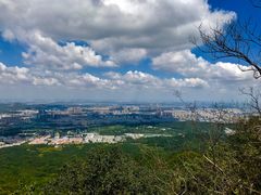-紫金山山顶公园