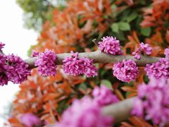 -杭州城北体育公园