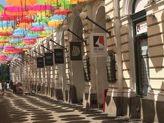 -蒂米什瓦拉胜利广场