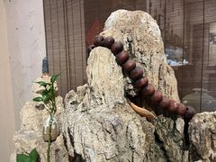 -山水悦茶会所(上海沙龙新天地天宝商业中心店)