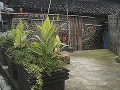 -大海别墅民宿农家院(十渡店)