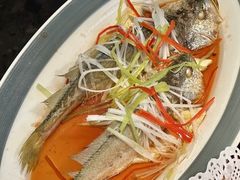 -前海沿·青岛菜(大拇指广场石老人店)