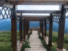 -白草畔自然风景区