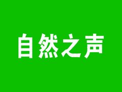 -自然之声助听器(平凉店)