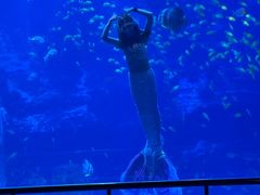 -太平洋海底世界