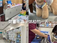 -美联众合动物医院·24h京西诊疗中心