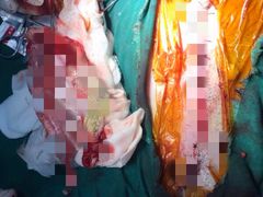 -严国平动物医院(德政总院)