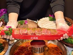 -小龙坎火锅(全球旗舰店)