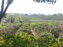 -南京市江宁方山