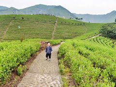 -帐篷客·溪龙茶谷度假酒店