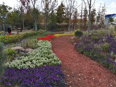 -上海长兴岛郊野公园