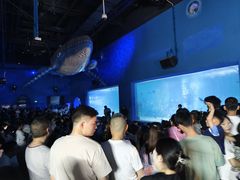 -常州海昌海洋探索馆