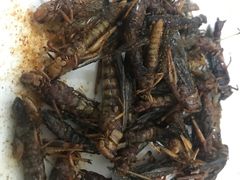 -夏家大锅台炖鱼馆