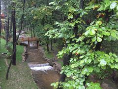 -洛阳白云山景区