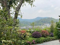 -腾冲洞山温泉村