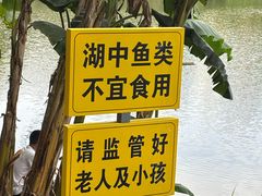 -重庆彩云湖湿地公园