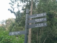 -迎泽公园