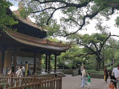 -普陀山风景名胜区-法雨禅寺