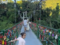 -西双版纳原始森林公园