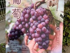 -大连北马山庄