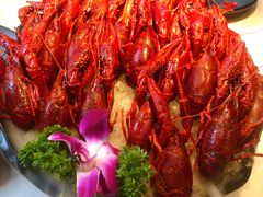 冰镇酒醉小龙虾-红盔甲·小龙虾(天钥桥店)