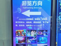 -泉城欧乐堡海洋极地世界