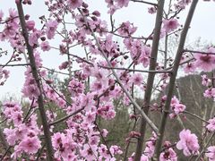 -阿哈湖国家湿地公园