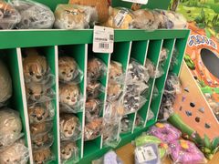 -朵云书院(滴水湖店)