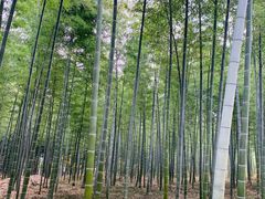 -天目湖御水温泉·度假酒店