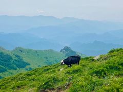 -灵山
