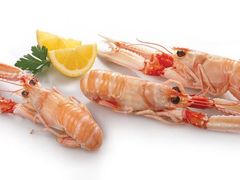 -禾斗海鲜自助(市南银座店)