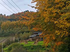 -硗碛藏寨·神木垒景区