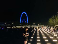 -南京眼步行桥