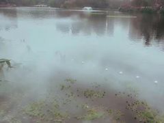 -重庆彩云湖湿地公园