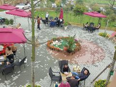 -森居forest休闲咖啡聚集地