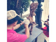 -黄龙溪古镇